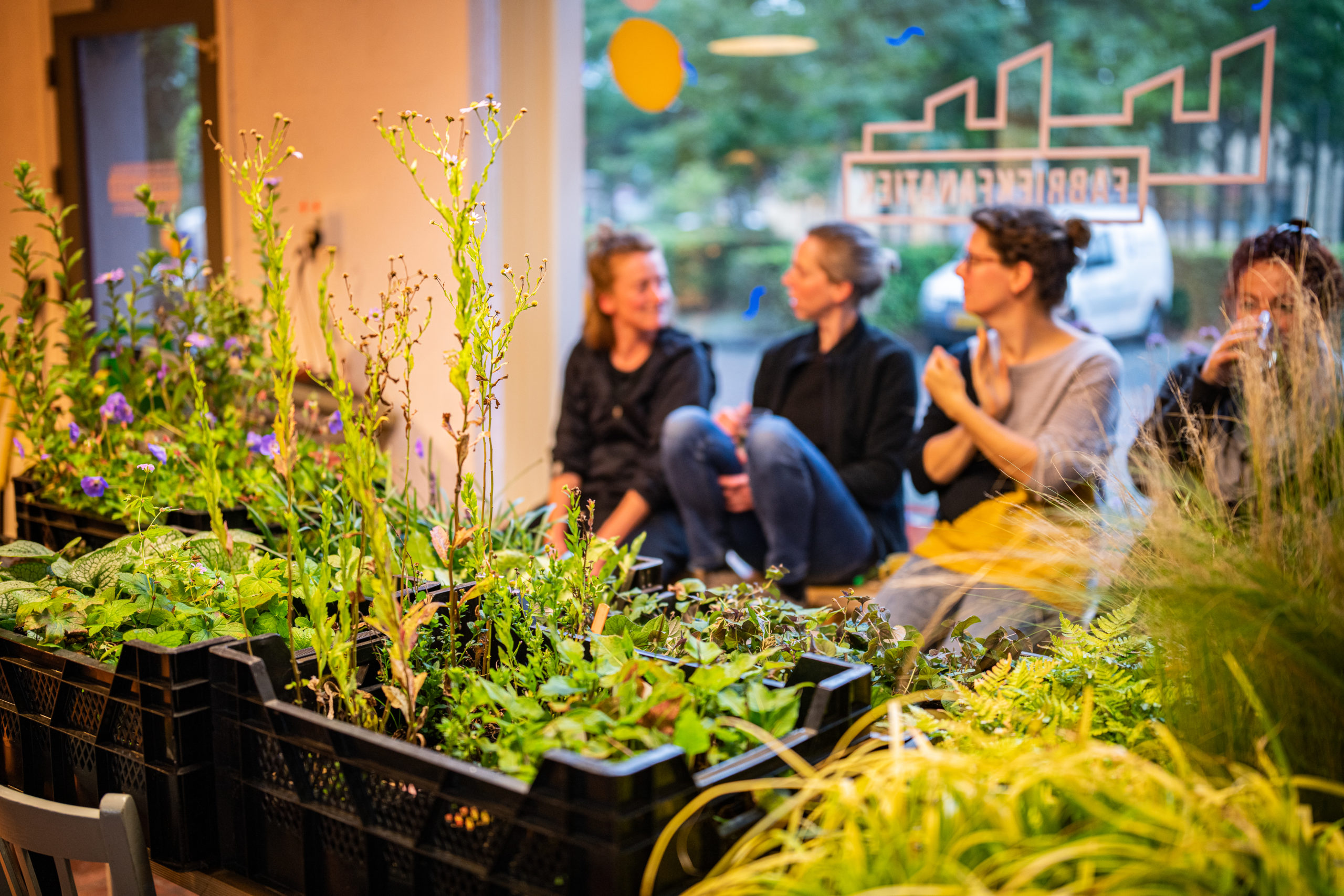 GROEN WIJKPROJECT