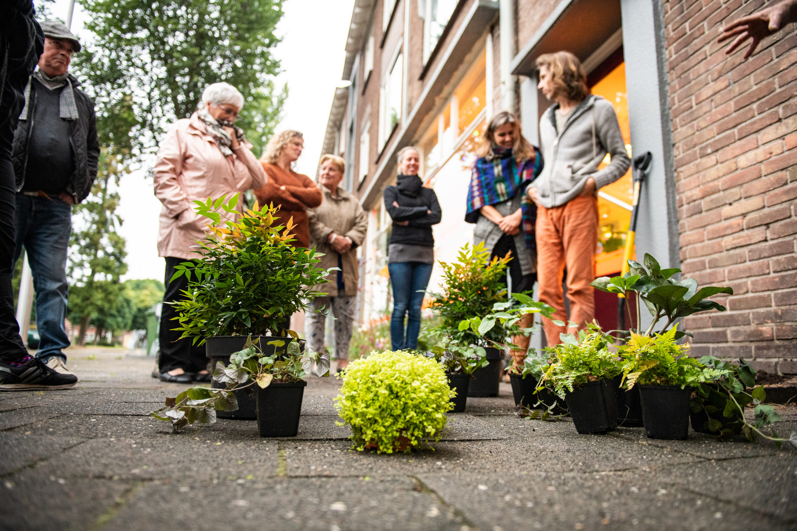 GROEN WIJKPROJECT