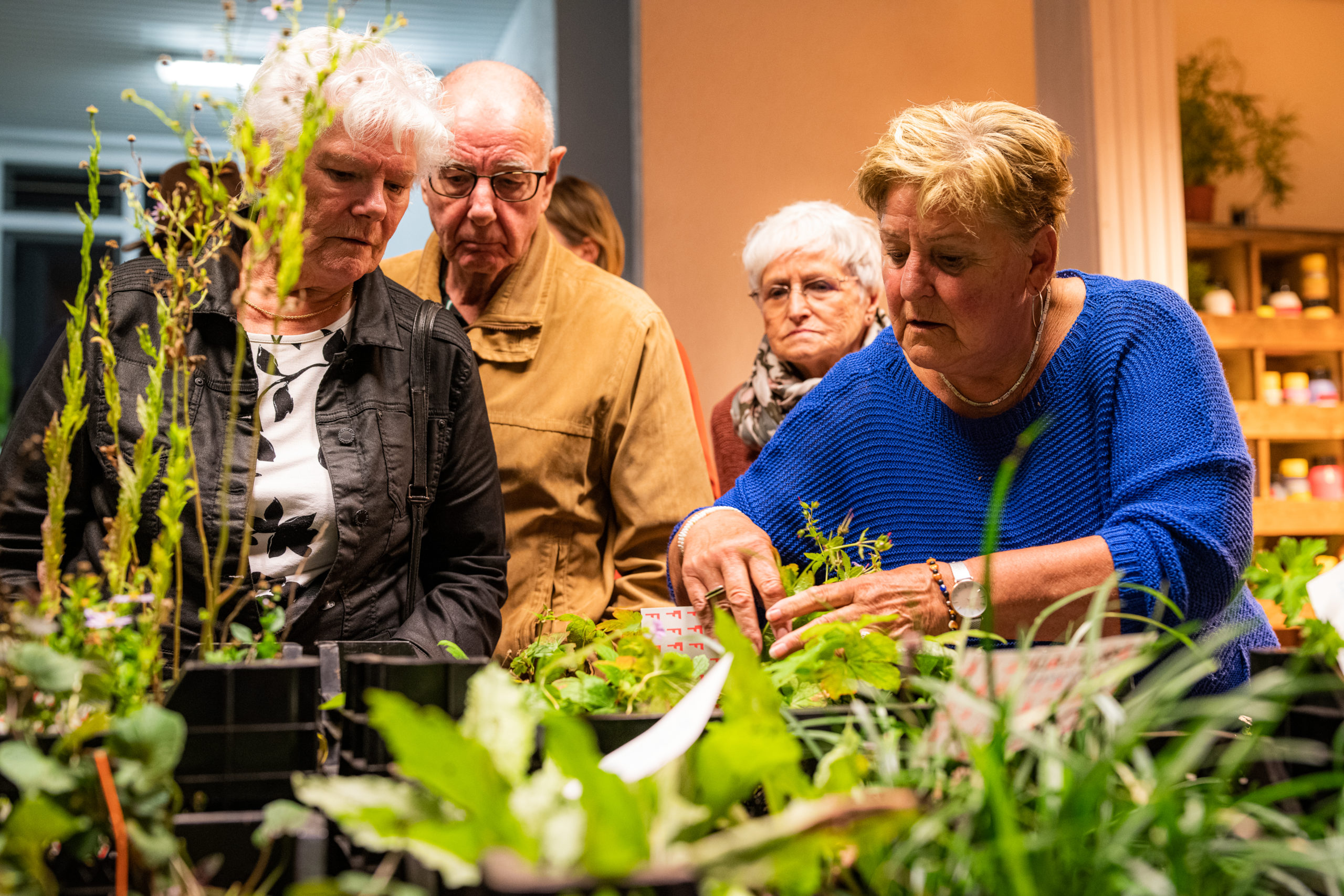 GROEN WIJKPROJECT